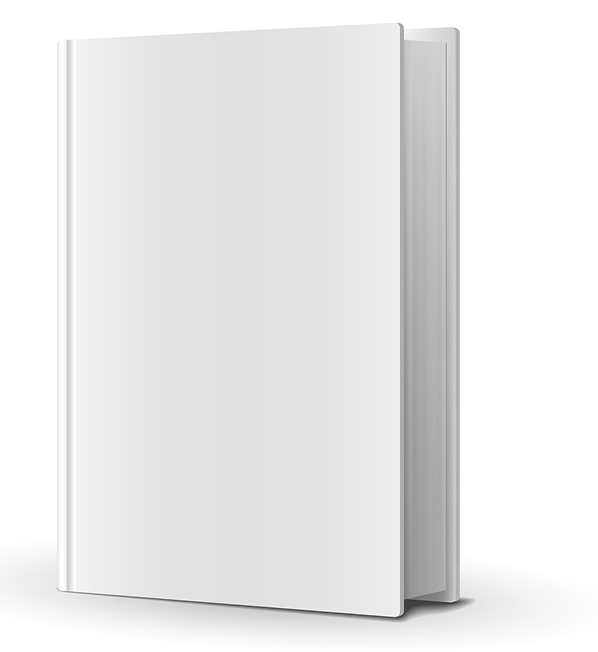 Diagram showing the African Aspirations 'plug' connecting to 100+ vetted world-class solution providers for business institutionalization, including Accounting, HR, Marketing, Legal, and Franchising.